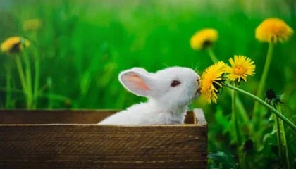 台州2026年最新杭州高端商务伴游招聘网渠道分享(最方便真实的台州茉莉伴游伴游天下全国联盟方法)